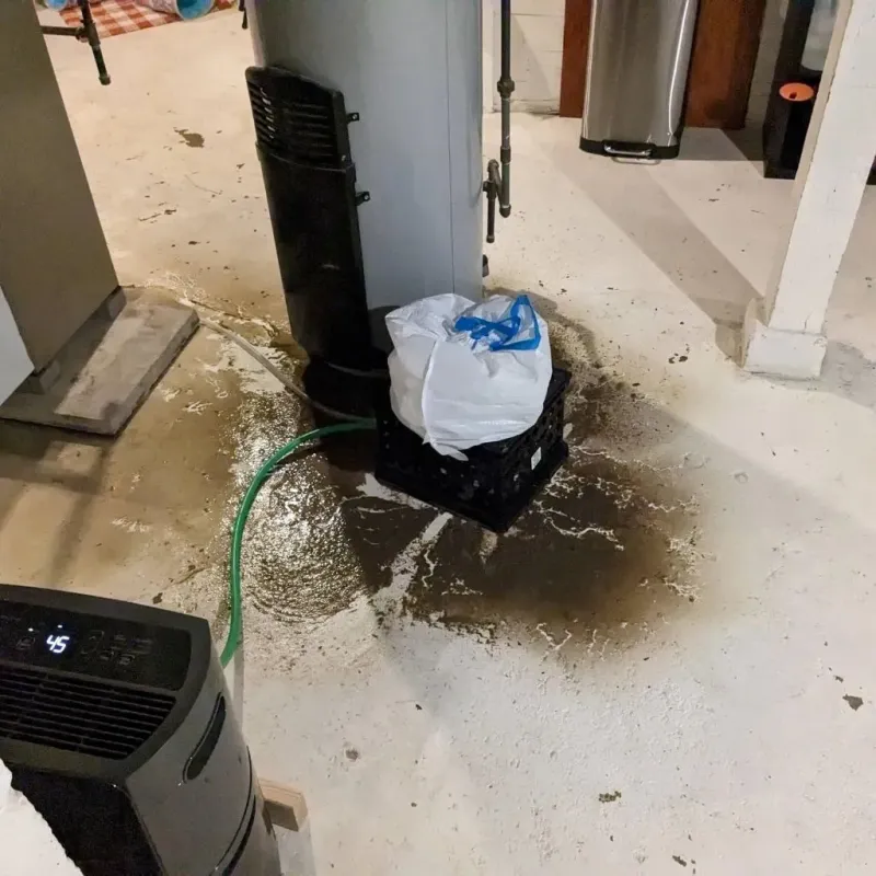 Sewage Backup Cleanup Service in Silver Bow County, MT
